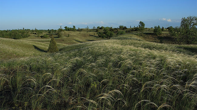 Fülöpháza Sand Dunes