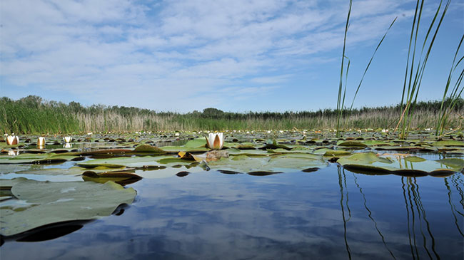 Lake Kolon