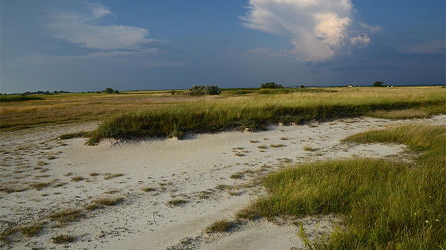 Mikla-puszta