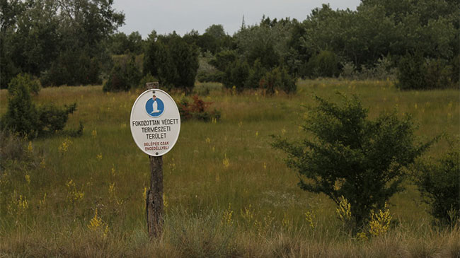 Orgovány Meadows
