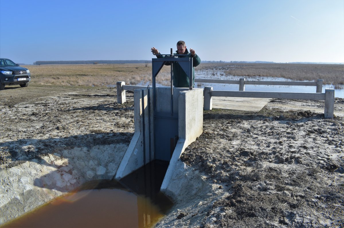 a Kiskunsági Nemzeti Park Igazgatóság természetvédelmi őre, Pataki Zsolt végzi a zsilipek kezelését