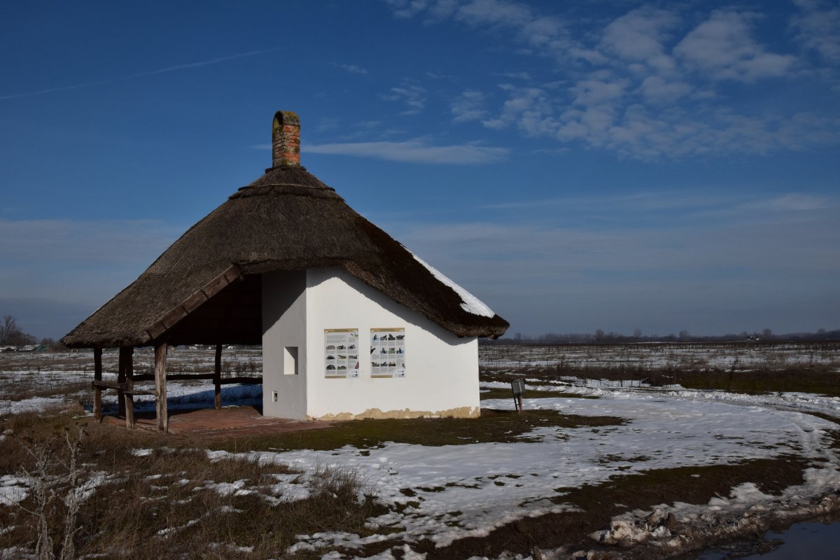 pásztormúzeum