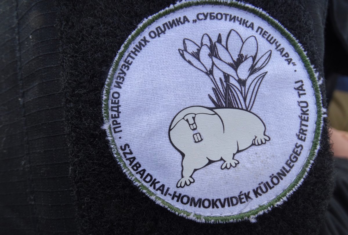 délvidéki földikutya felmérés 