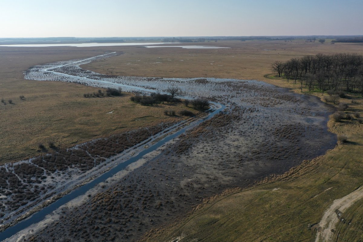 baksi-puszta