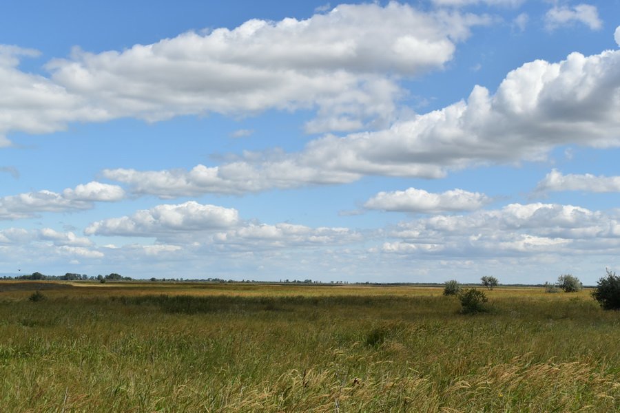 Apajpuszta