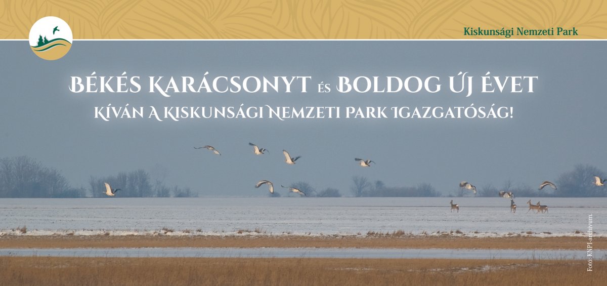 Békés, boldog karácsonyt és örömökben gazdag új évet kíván a Kiskunsági Nemzeti Park Igazgatóság!