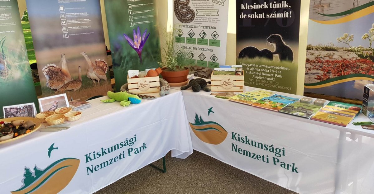 KNP stand