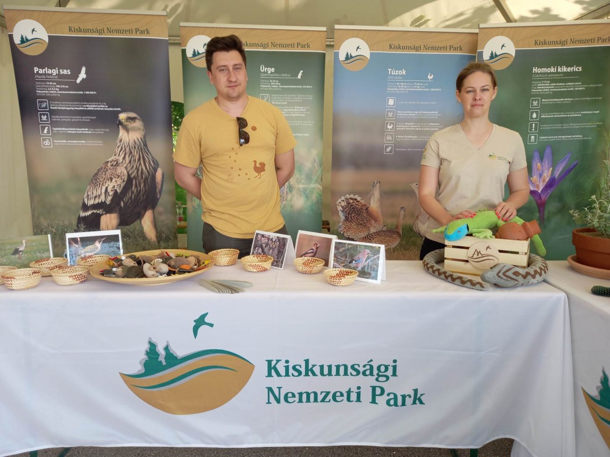 KNP stand