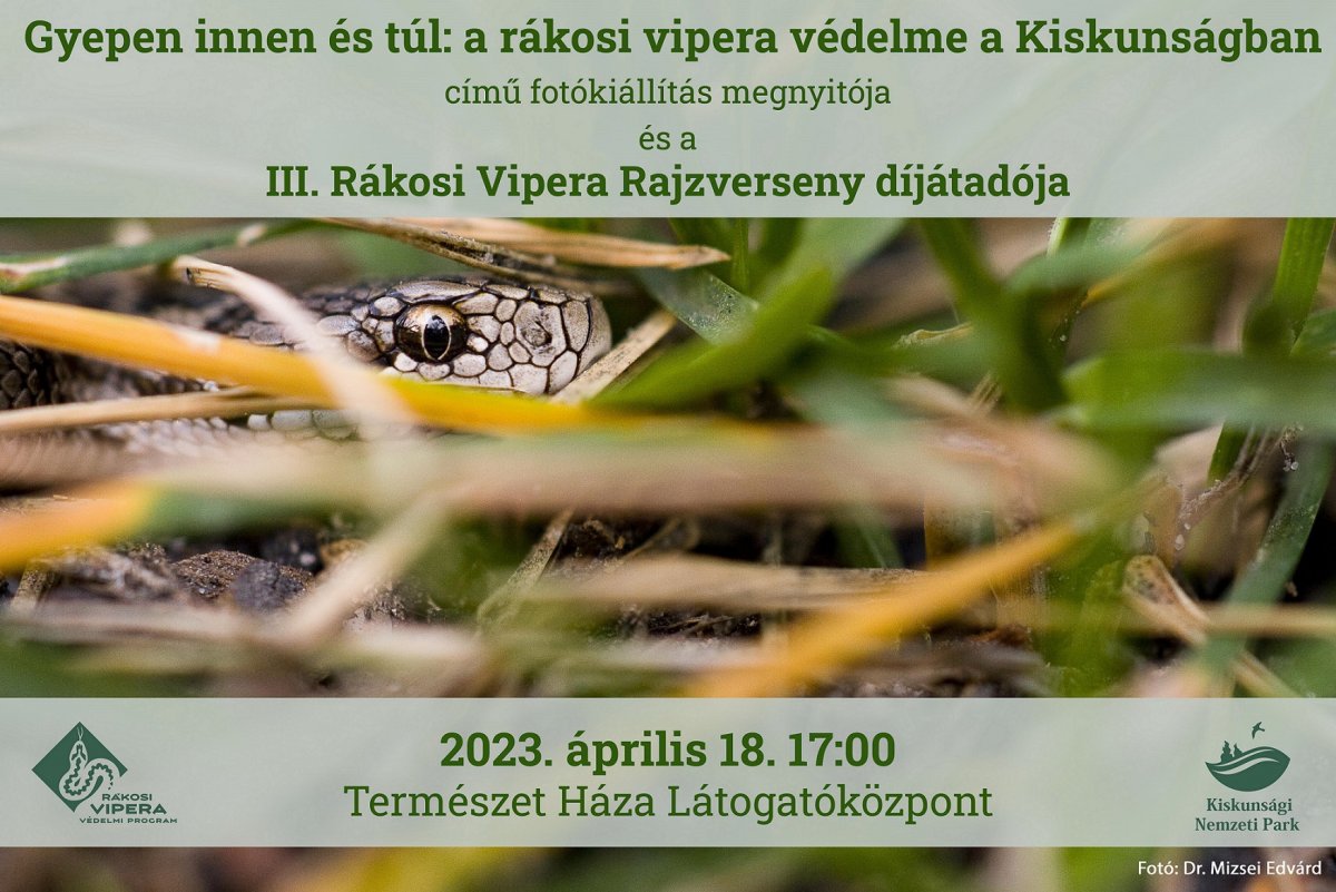 fotókiállítás