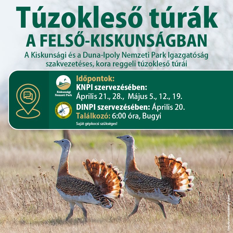 túzokles túrák