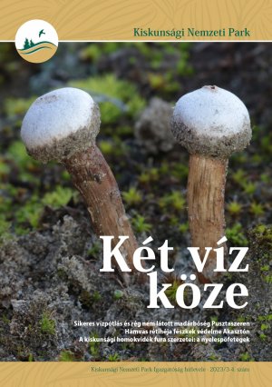 Két víz köze, 2023/3-4. szám